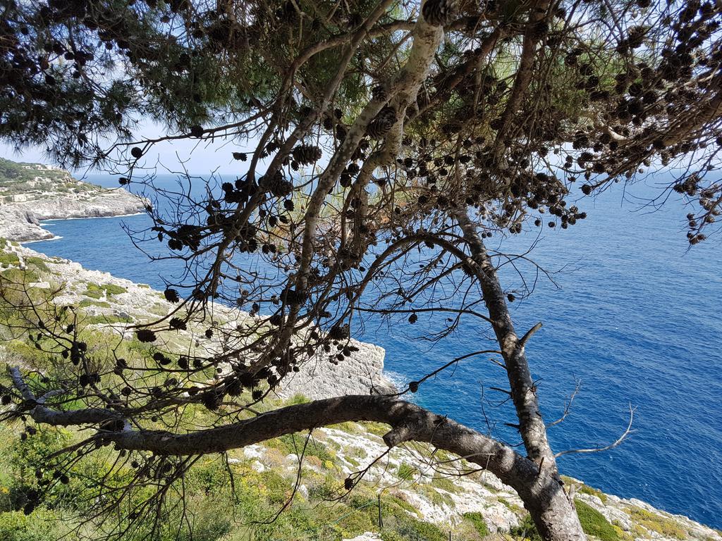 Villa Bocca Del Pozzo Gagliano del Capo Exteriör bild