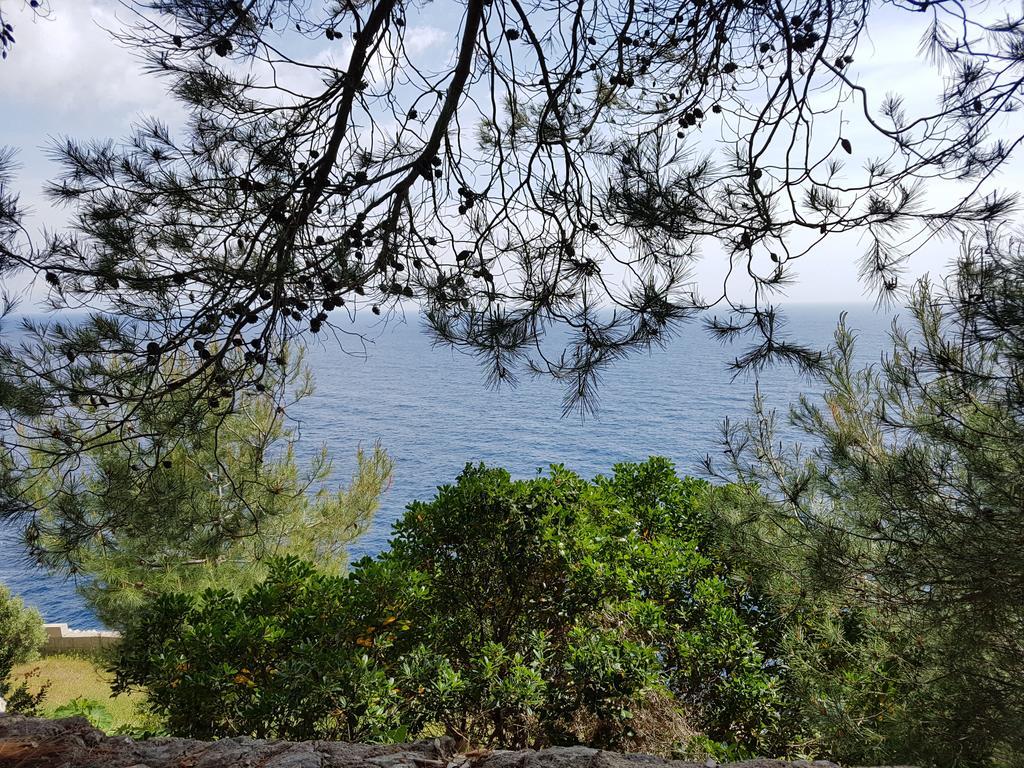 Villa Bocca Del Pozzo Gagliano del Capo Exteriör bild