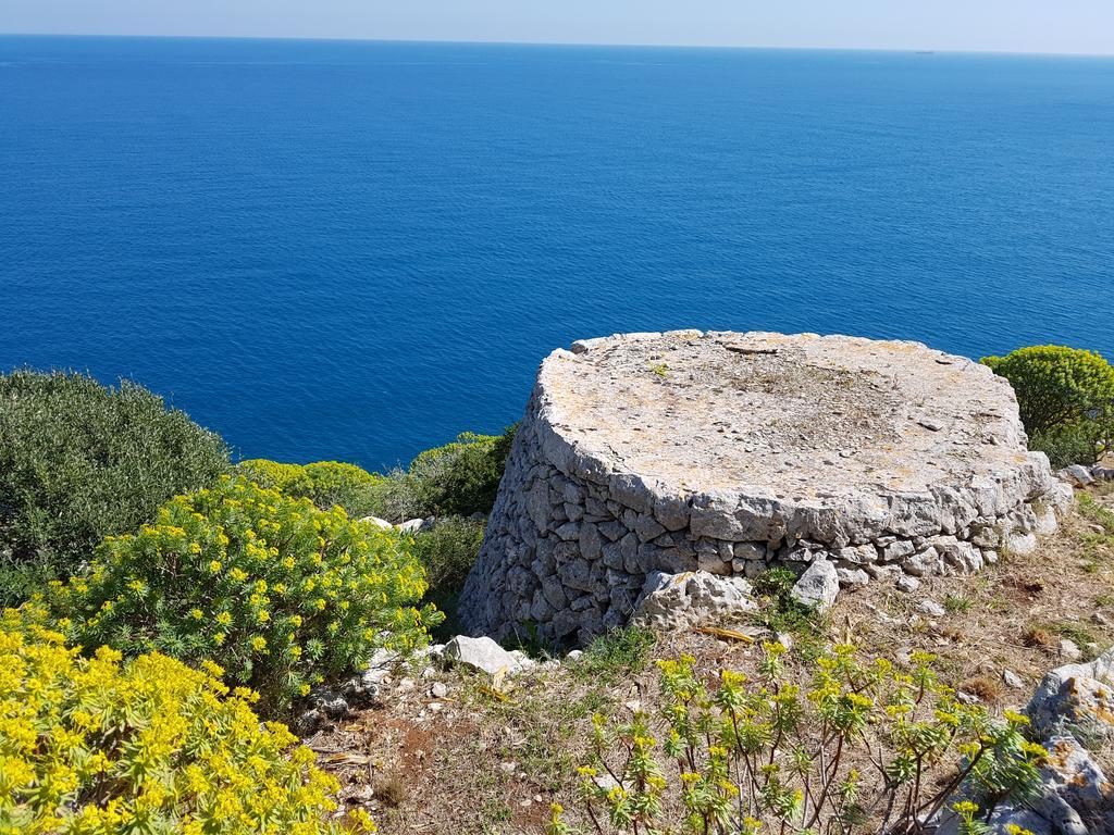 Villa Bocca Del Pozzo Gagliano del Capo Exteriör bild