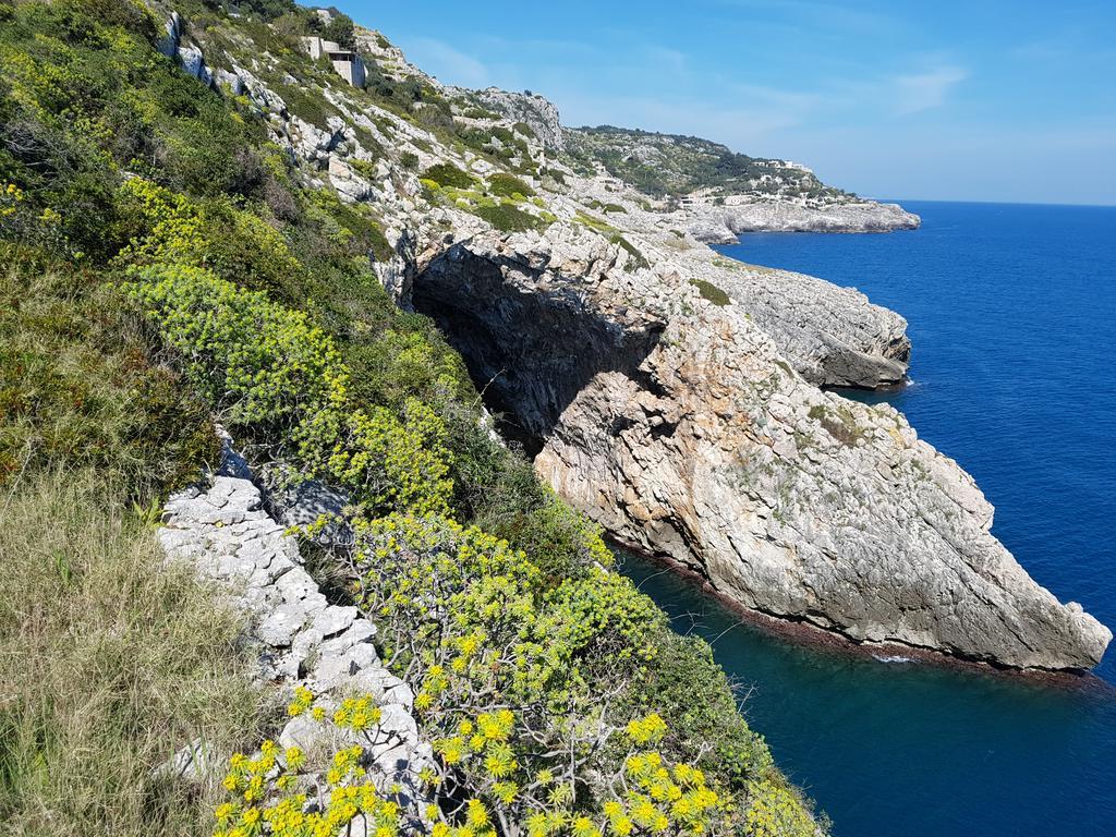 Villa Bocca Del Pozzo Gagliano del Capo Exteriör bild