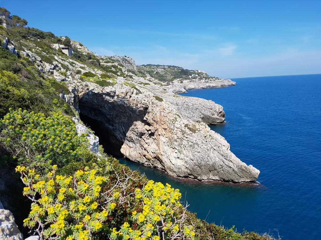 Villa Bocca Del Pozzo Gagliano del Capo Exteriör bild