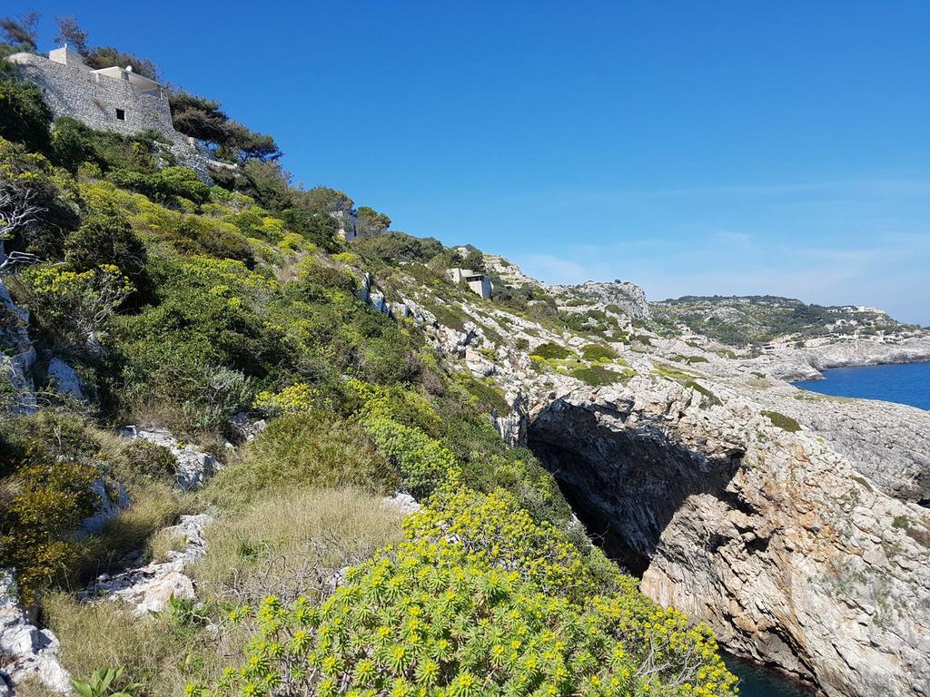 Villa Bocca Del Pozzo Gagliano del Capo Exteriör bild