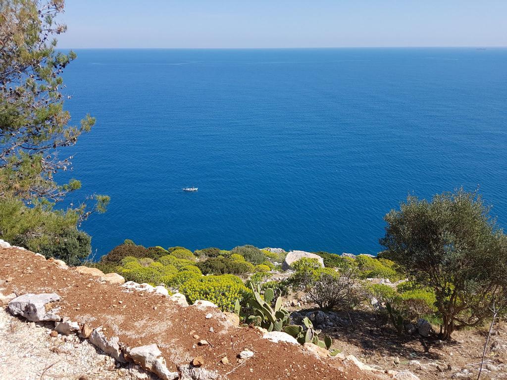 Villa Bocca Del Pozzo Gagliano del Capo Exteriör bild